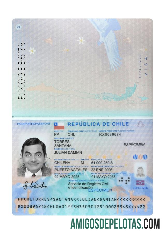 Passaporte Chileno 2025 Presente modelo